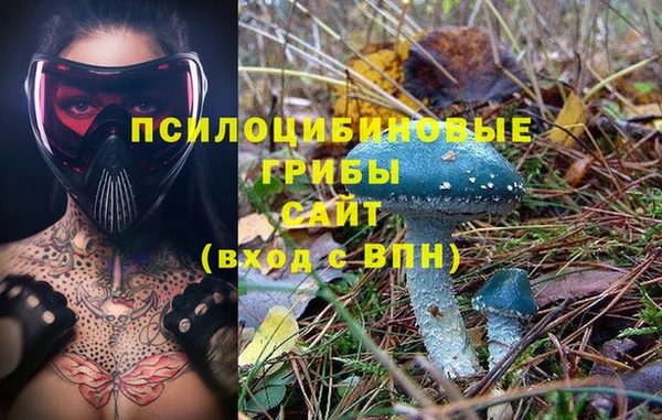 MESCALINE Надым