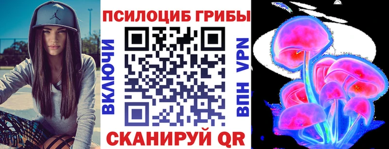 Псилоцибиновые грибы Cubensis  Купить где  Карталы 