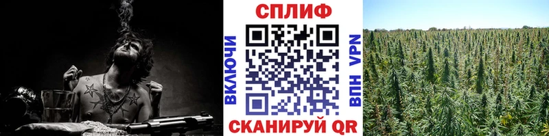 Шишки марихуана планчик Карталы